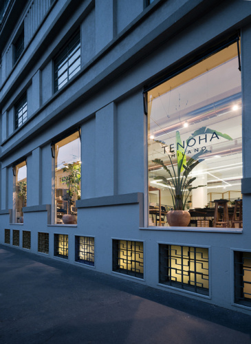 Tenoha